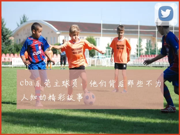 cba东莞主球员，他们背后那些不为人知的精彩故事