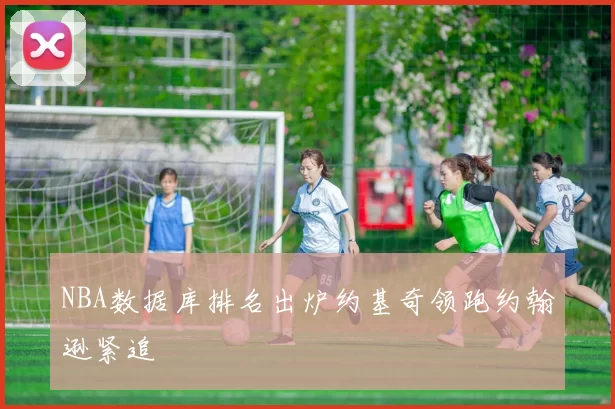 NBA数据库排名出炉约基奇领跑约翰逊紧追