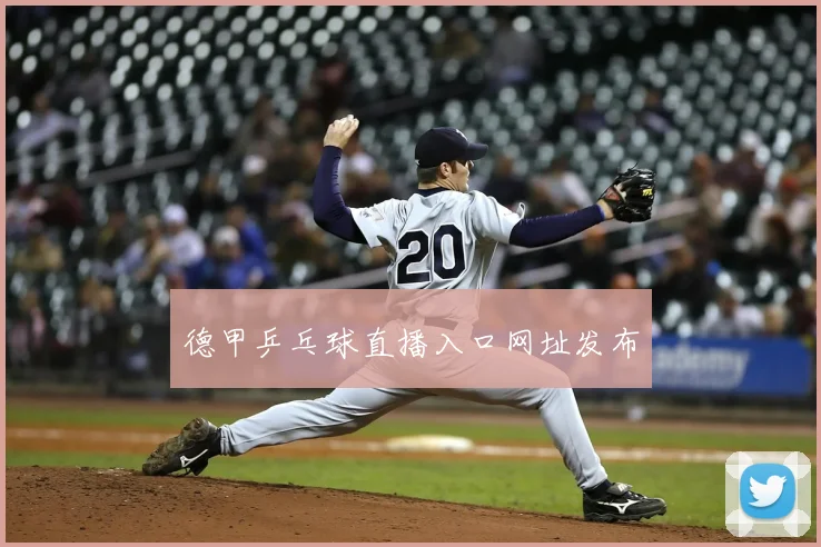 德甲乒乓球直播入口网址发布